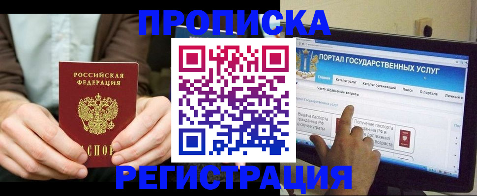 прописка в Сольцах